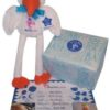 Boy Stork Certificate Gift Box